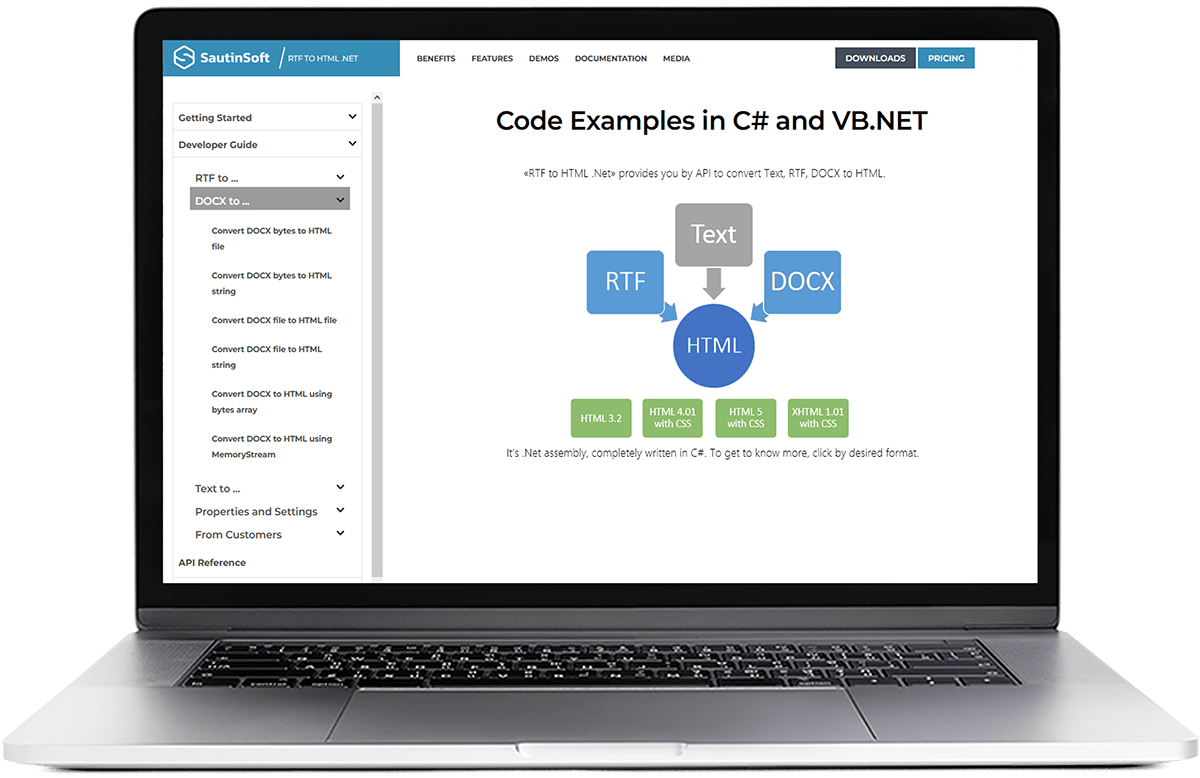 SautinSoft.RtfToHtml примеры кода